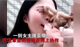 娱乐吃瓜酱的作品真诚才是必杀计,娱乐吃瓜酱的“必杀计”揭秘