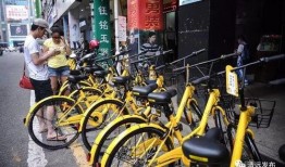 清远小黄车最新爆料