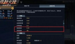 cf体验服最新爆料手游王者葵,体验服新爆料，手游版英雄崛起