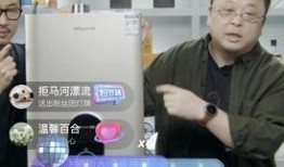 老罗直播间爆料事件视频,揭秘背后真相与争议